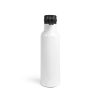 20 oz Insulated Sport Water Bottle w/ Loop-Top Lid